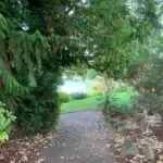 greenery path